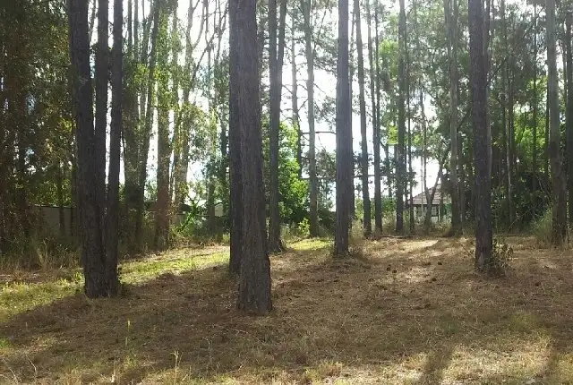 Seventh view of Homely house listing, 7 Logan Parade, Logan Reserve QLD 4133