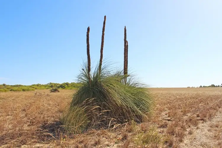 Second view of Homely land listing, Lot 235 Zendora Road, Jurien Bay WA 6516
