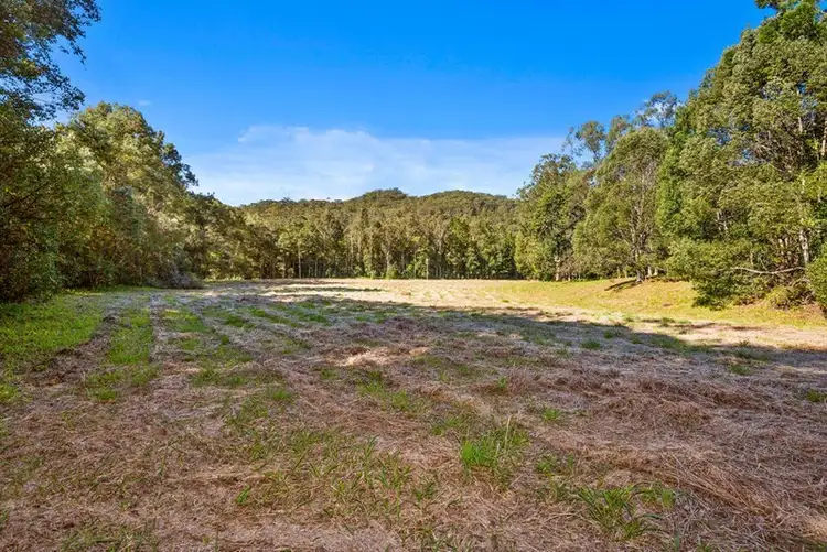 Third view of Homely rural property listing, 1753 Numinbah Road, Chillingham NSW 2484