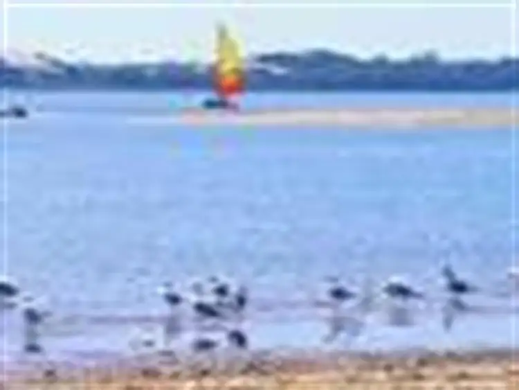 Seventh view of Homely land listing, 11 MacGregor Road, Roelands WA 6226