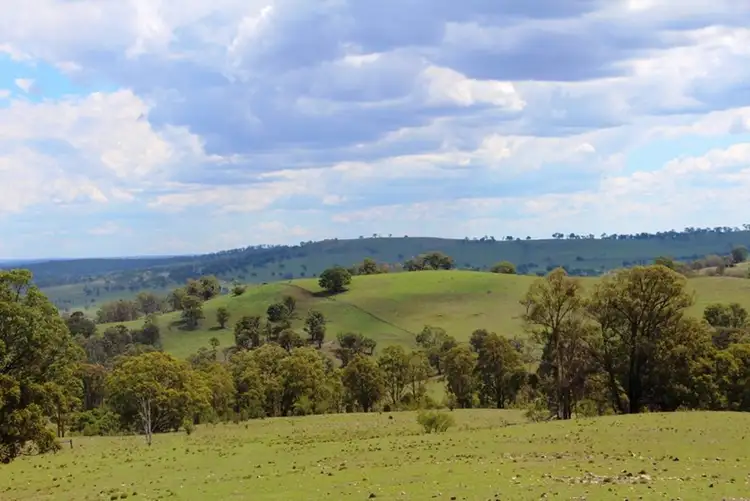 93 Armidale Gully Road, Armidale NSW 2350