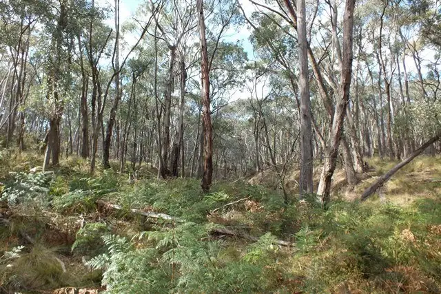 Fifth view of Homely rural property listing, 209 Soliders Hill Road, Wisemans Creek NSW 2795