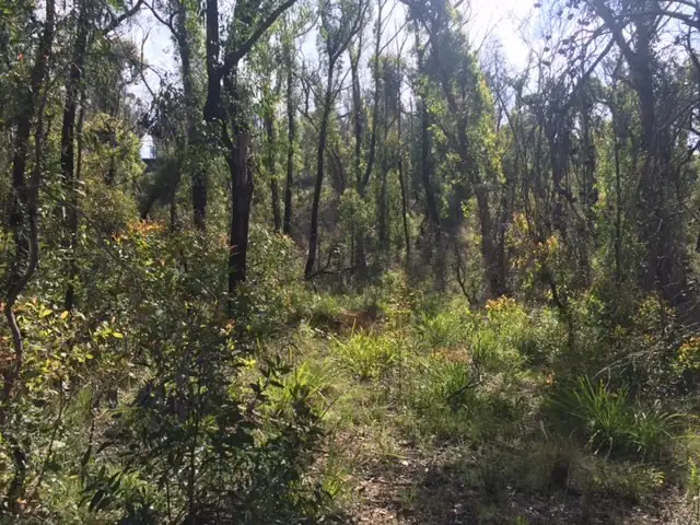 Second view of Homely land listing, 47 Salisbury Avenue, Mount Victoria NSW 2786
