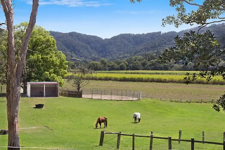 Second view of Homely rural property listing, 5824 Tweed Valley Way, Mooball NSW 2483