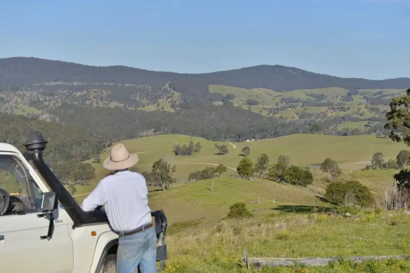 Main view of Homely rural property listing, 758 Gilgurry Road, Tenterfield NSW 2372
