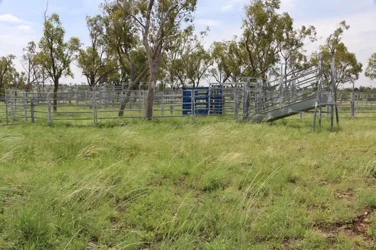 Third view of Homely rural property listing, 0 ALVALEA East, Roma QLD 4455