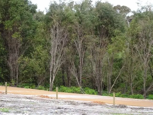 Fourth view of Homely land listing, 12 Tassel Place, Denmark WA 6333