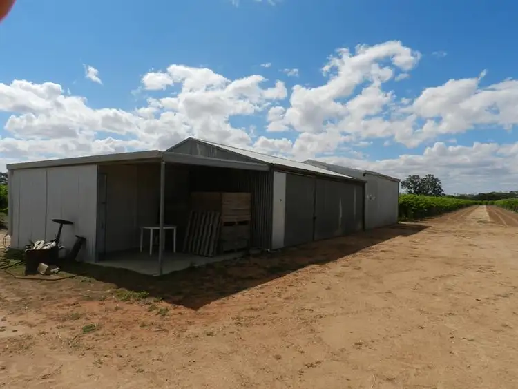 Second view of Homely rural property listing, 57 and 58 Schell Road, Cobdogla SA 5346