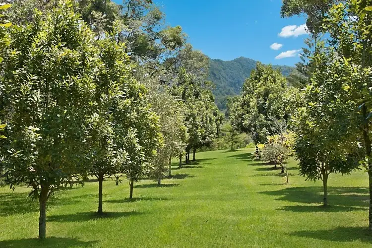 Fourth view of Homely rural property listing, 2327 Numinbah Road, Numinbah NSW 2484