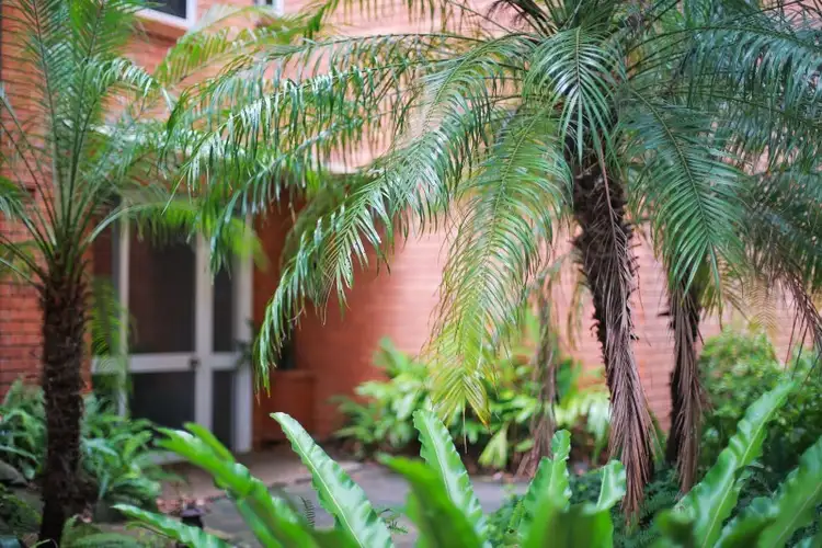 Sixth view of Homely apartment listing, 10/18-20 Harrow Road, Stanmore NSW 2048