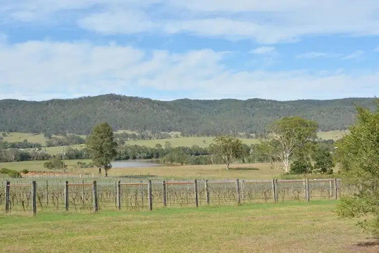 Second view of Homely rural property listing, 1587 Mount View Road, Millfield NSW 2325