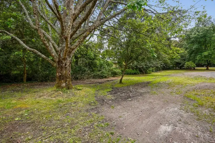 Third view of Homely land listing, 455 Woodspoint Road, East Warburton VIC 3799