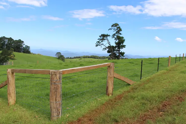 Fourth view of Homely rural property listing, 5287 Waterfall Way, Dorrigo NSW 2453