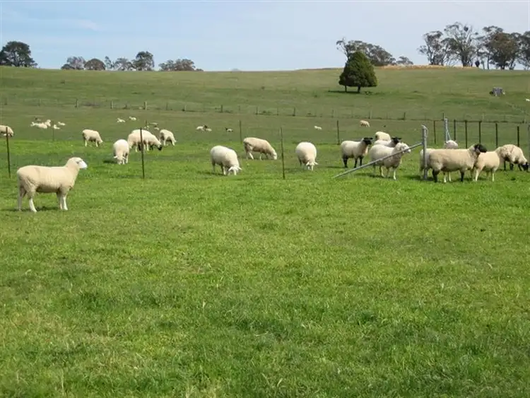 Sixth view of Homely rural property listing, Address available on request
