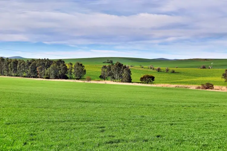 Fourth view of Homely rural property listing, "Allens" 304 Calcannia Road, Clare SA 5453