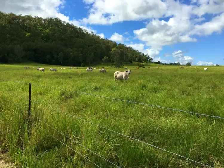 3800 Eungella Mackay Road, Gargett QLD 4741