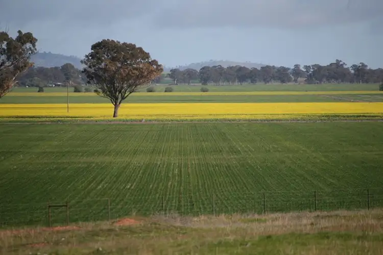 Second view of Homely rural property listing, "Nirvana" Pinnacle Road, Forbes NSW 2871
