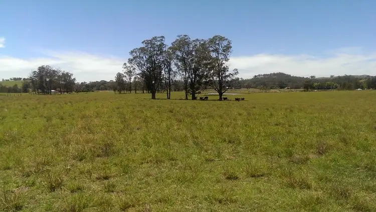 Fifth view of Homely rural property listing, Lot 21, 1397 Dungog Road, Dungog NSW 2420