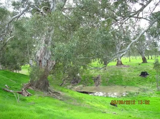 Sixth view of Homely rural property listing, 50 The Mile Lane, Mundulla SA 5270