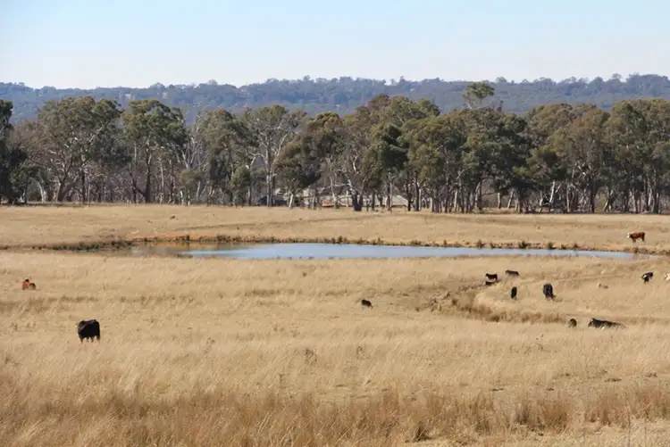 Fifth view of Homely rural property listing, 1436 Rockvale Road, Armidale NSW 2350