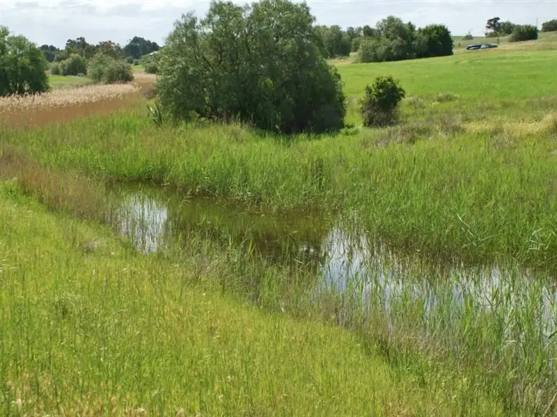 Main view of Homely house listing, 90 Hartmans Road, Palmer SA 5237