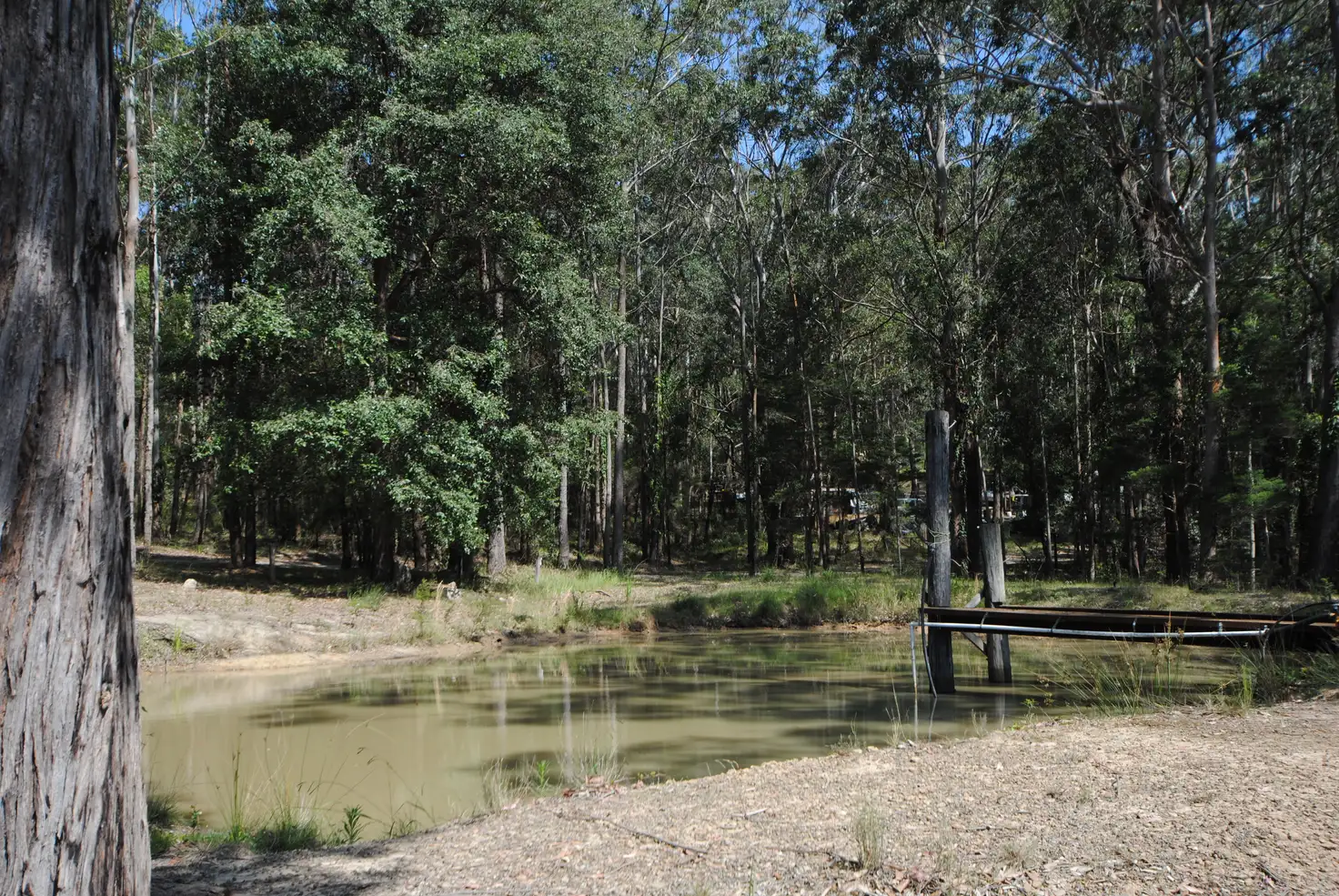 Main view of Homely rural property listing, 161-162 Inglewood Crescent, Tomerong NSW 2540