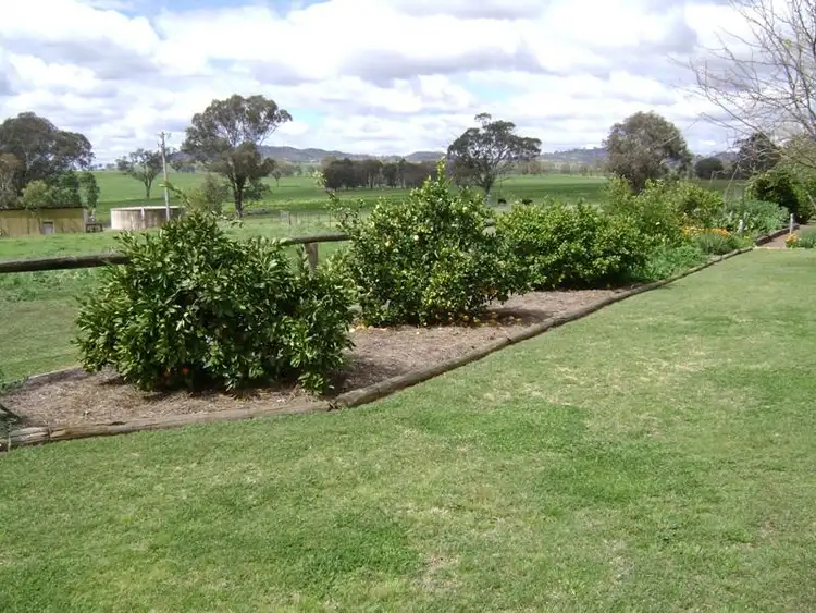 Sixth view of Homely rural property listing, 511 Pine Mount Road, Cowra NSW 2794