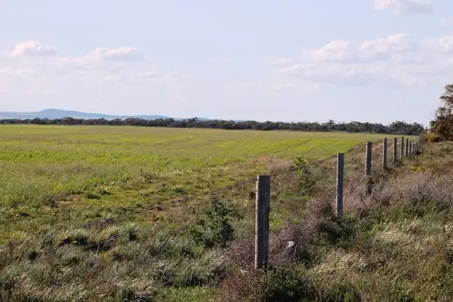 Main view of Homely rural property listing, 253 Hundred of Playford, Cowell SA 5602