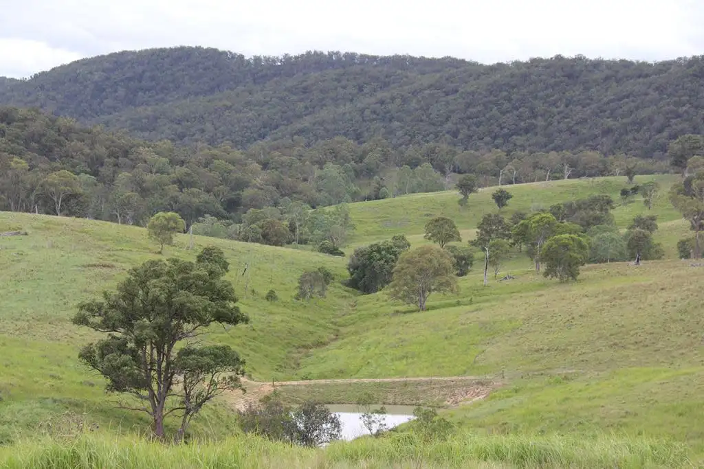 Main view of Homely rural property listing, 1091 Timbarra Road, Tenterfield NSW 2372