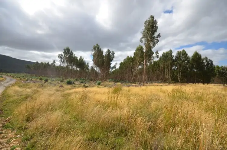 Fourth view of Homely rural property listing, "Jarman" Raglan - Elmhurst Road, Raglan VIC 3373