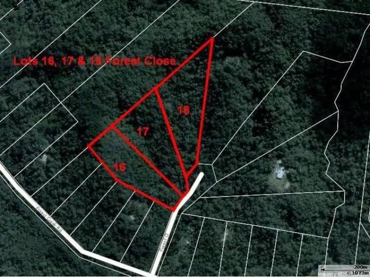Second view of Homely land listing, Lot 16 Forest Close, Daintree QLD 4873