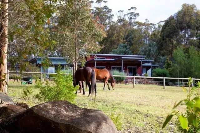 30 Abernethy Court, Denmark WA 6333