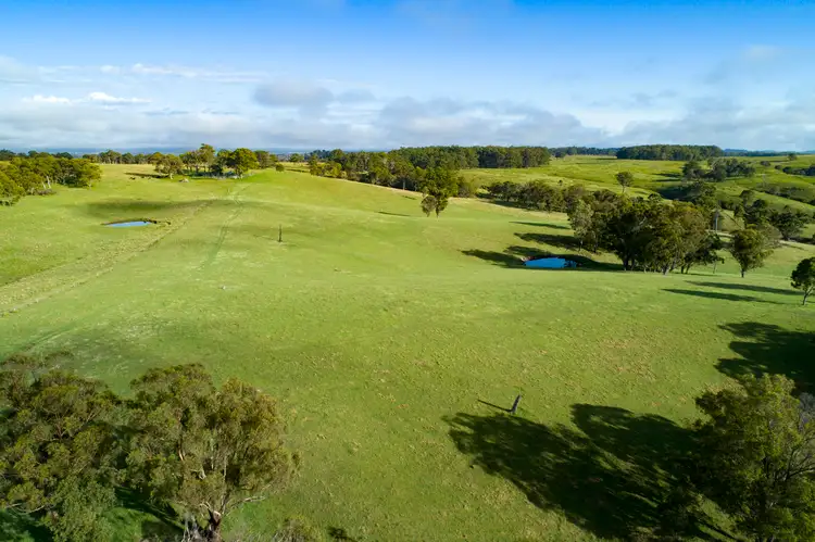 310 Timbarra Road, Tenterfield NSW 2372