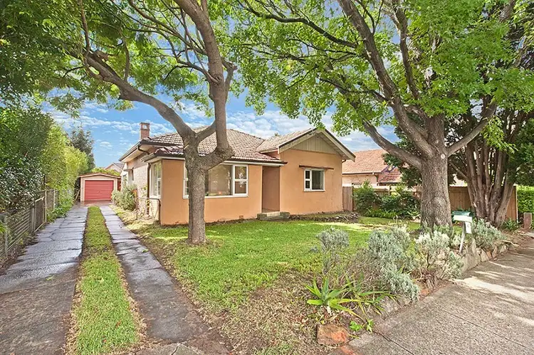 41 Alpha Road, Willoughby NSW 2068