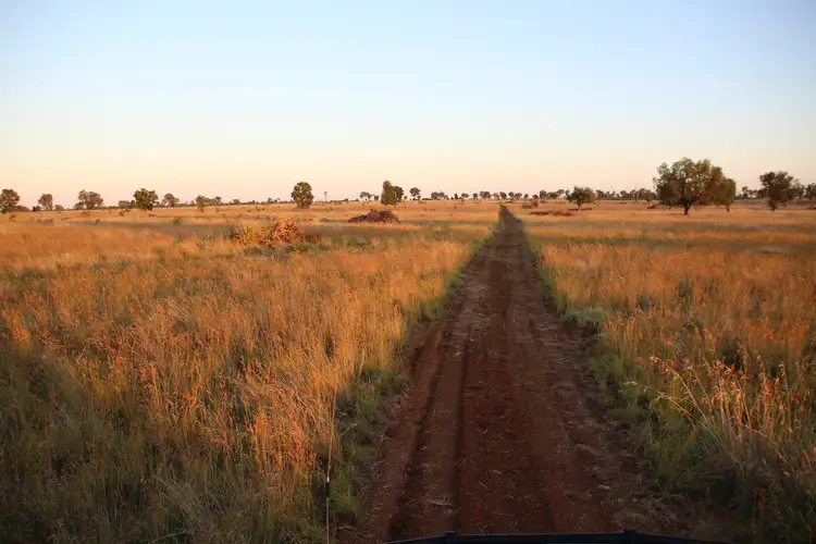 Fourth view of Homely rural property listing, 0 BURRADOO, Roma QLD 4455
