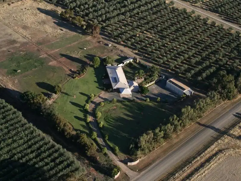 Main view of Homely house listing, 298 O'Dwyer Road, Wharparilla, Echuca VIC 3564