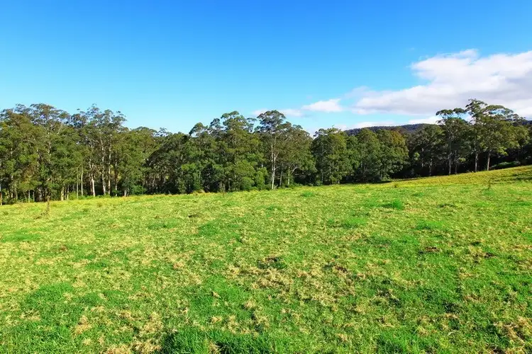 Fifth view of Homely rural property listing, Lots 56 and 111 Main Road, Cambewarra NSW 2540