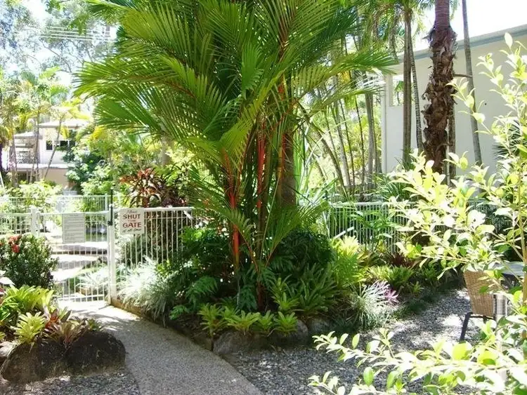Sixth view of Homely apartment listing, 4/15 Tropic Court, Port Douglas QLD 4877