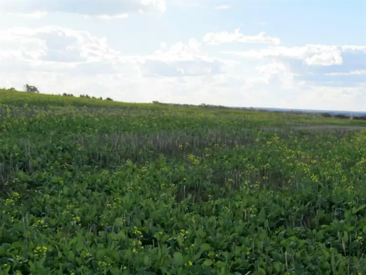 Sixth view of Homely rural property listing, Address available on request