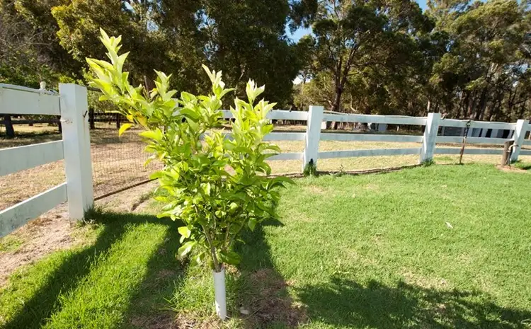 Third view of Homely rural property listing, Lot 4036 Vasse Highway, Nannup WA 6275