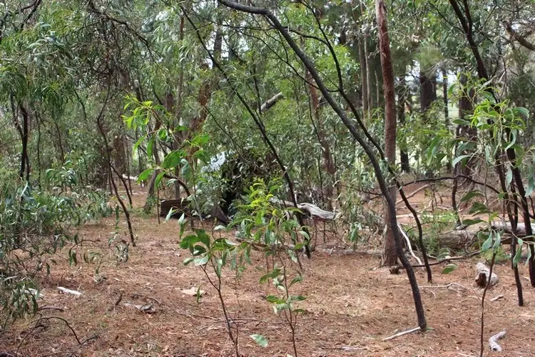 Fourth view of Homely land listing, Lot 4 and 5 Rarkang Road, Silverton SA 5204