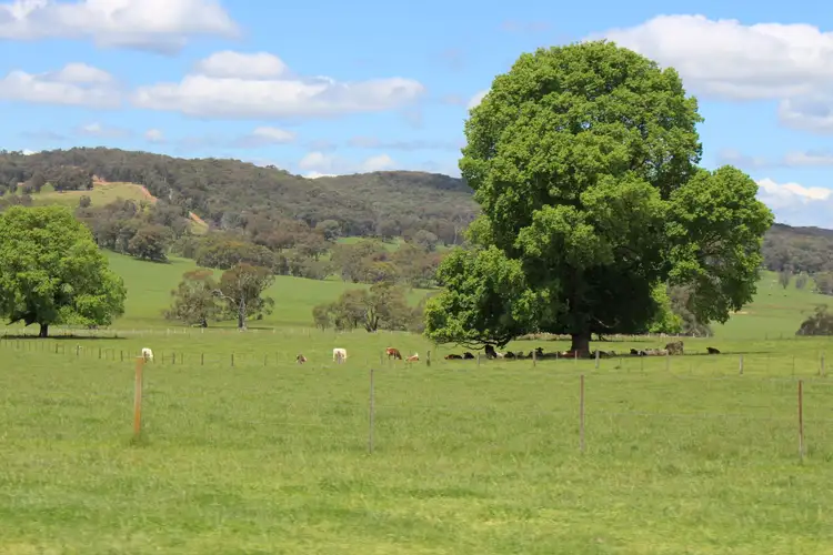 Sixth view of Homely rural property listing, 185 Old Taradale Road, Rosewood NSW 2652