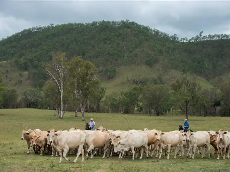 Main view of Homely rural property listing, Address available on request