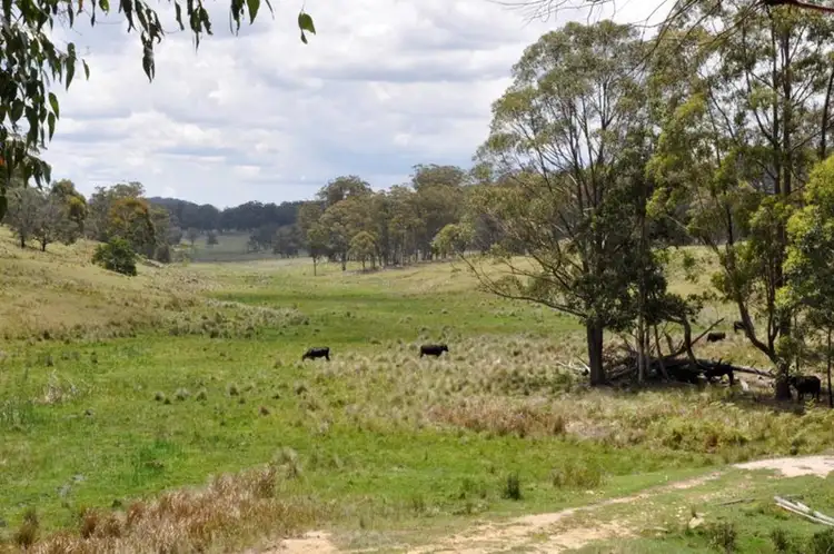 Second view of Homely rural property listing, Imbergers Imbergers Road, Tenterfield NSW 2372
