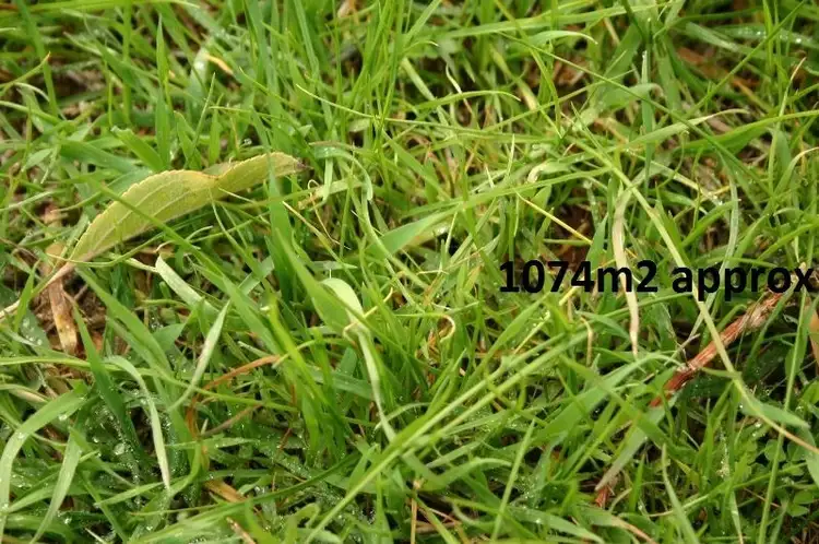 13 Haywood Grove, Melton West VIC 3337