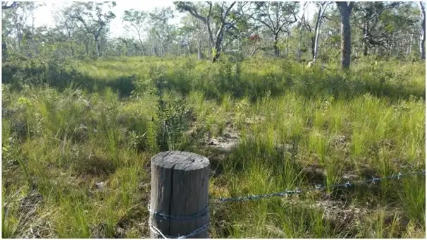 Second view of Homely land listing, 477 Pacific Haven Circuit, Pacific Haven QLD 4659