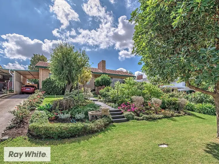 Main view of Homely house listing, 11 Donnington Road, Balcatta WA 6021