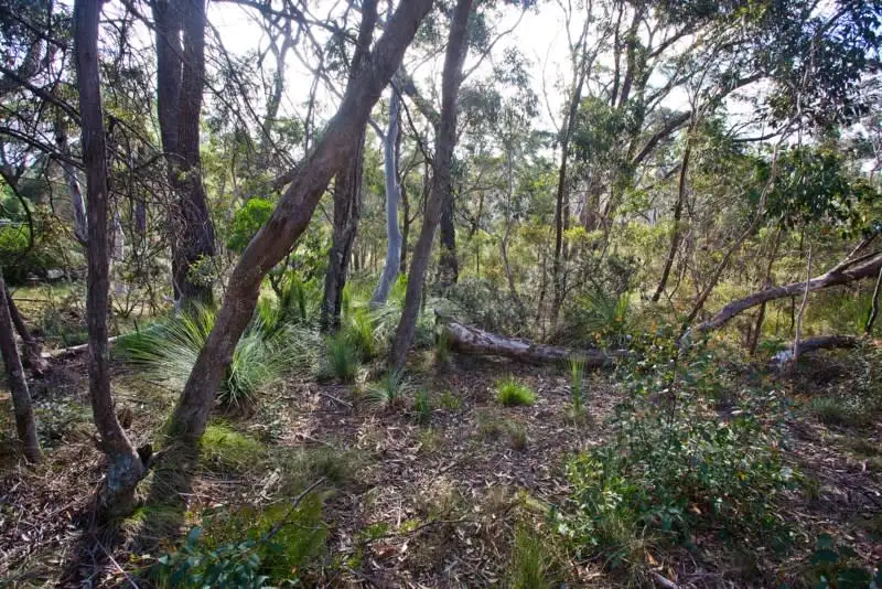 Main view of Homely land listing, Block 7 - Lot 174 and 124 DP 16449 - 38 Godson Avenue, Blackheath NSW 2785