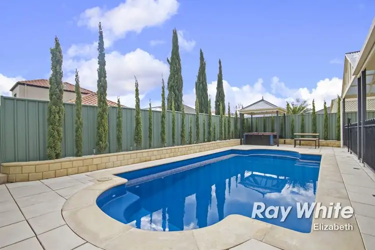 Second view of Homely house listing, 2 Cobblers Court, Mawson Lakes SA 5095