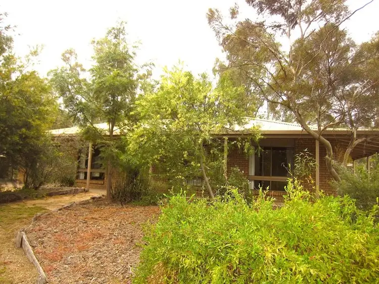 Main view of Homely house listing, 49 Wanani Road, Mulwala NSW 2647
